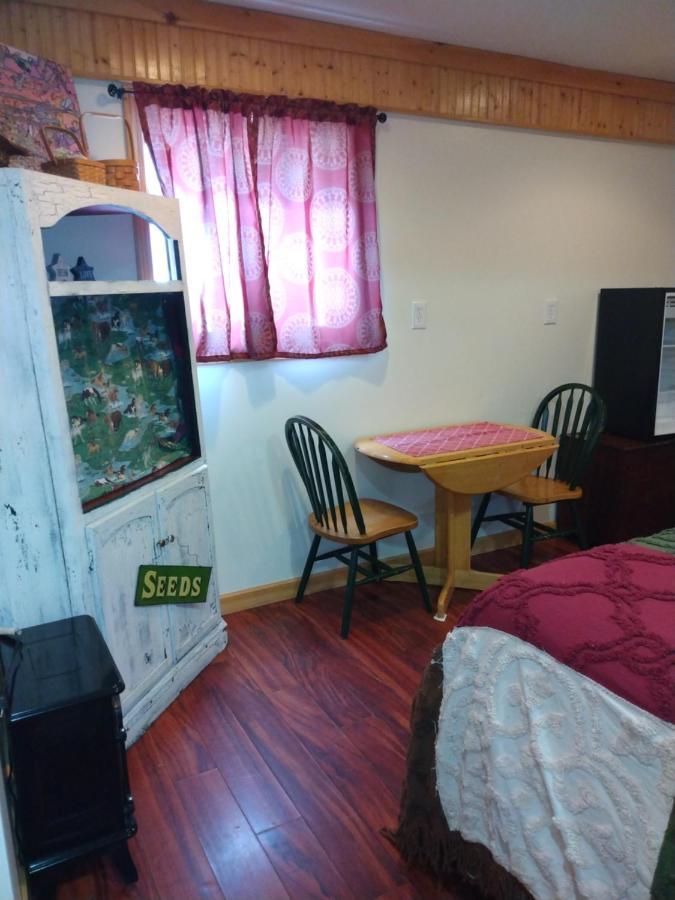 Bed and Breakfast No View Farm Rumford Esterno foto