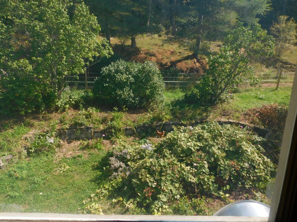 Bed and Breakfast No View Farm Rumford Esterno foto