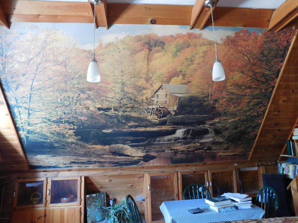 Bed and Breakfast No View Farm Rumford Esterno foto