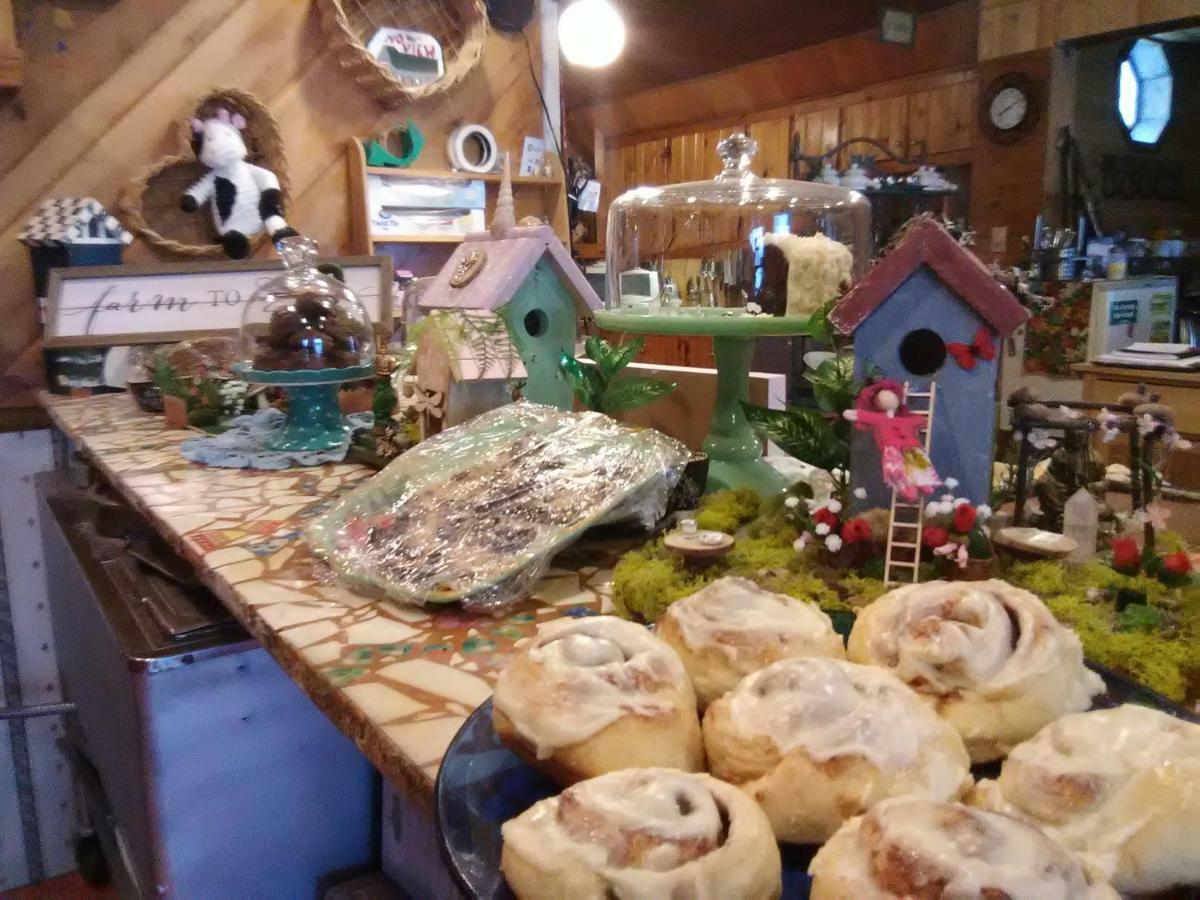 Bed and Breakfast No View Farm Rumford Esterno foto